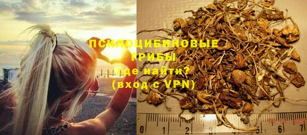 MDMA Новодвинск