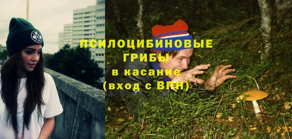 ешки Болохово