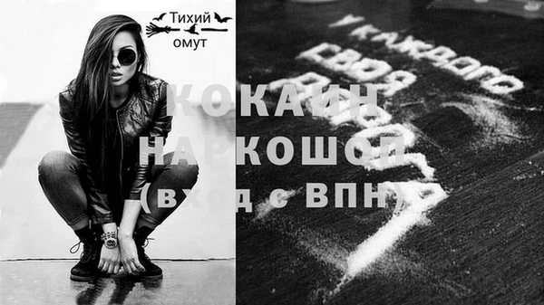 мет Новозыбков