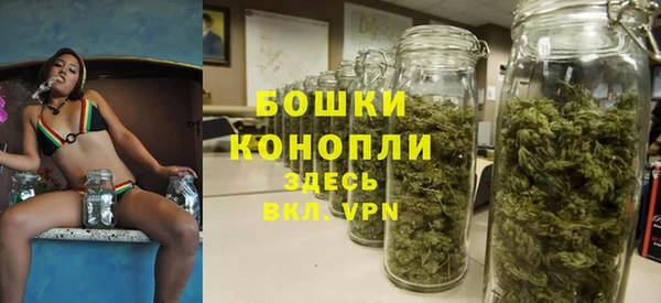 мет Новозыбков