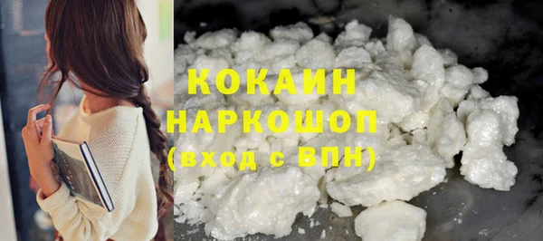 мет Новозыбков