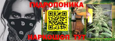 прущие грибы Аргун