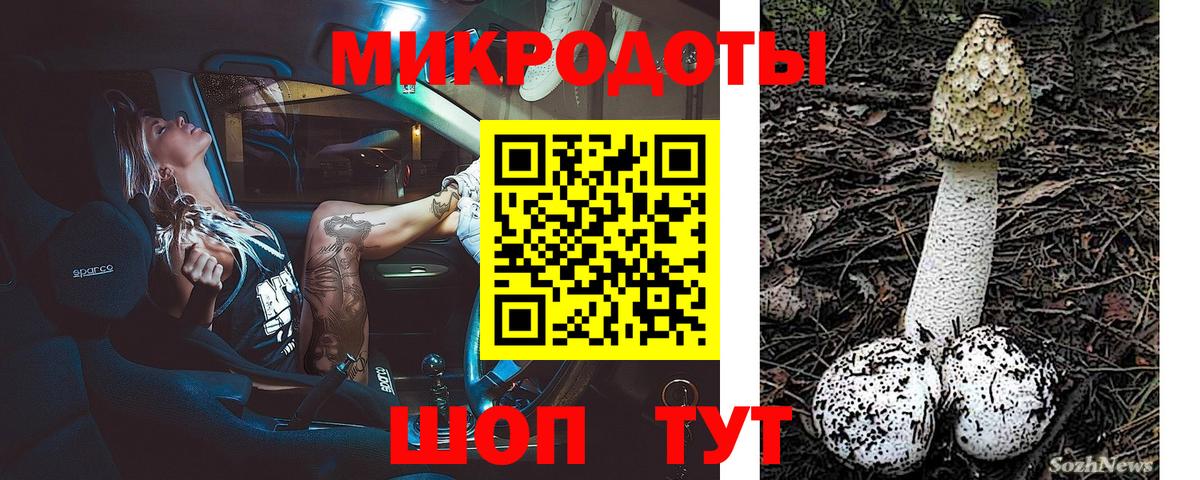 Псилоцибиновые грибы Psilocybe Сафоново