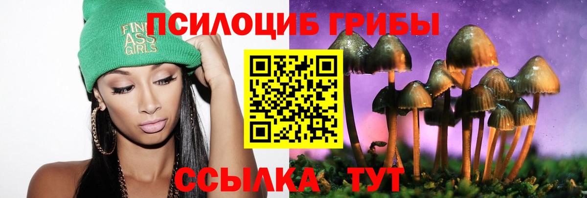 Псилоцибиновые грибы Cubensis  Вход с VPN  Сафоново 
